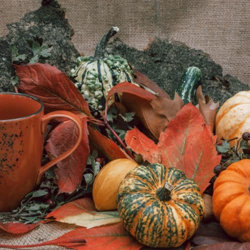 atelier cuisine octobre